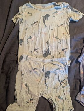 Kyte BABY- Sage SharkPajama Set